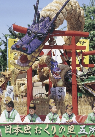 虫