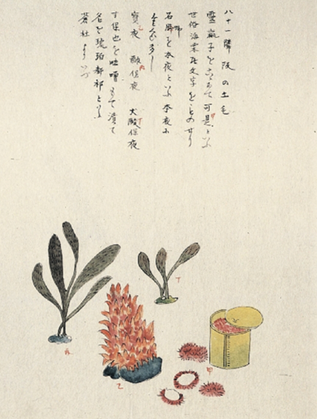 外が浜伝
