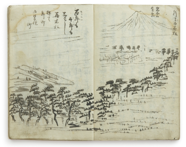 千年山から望んだ景色。