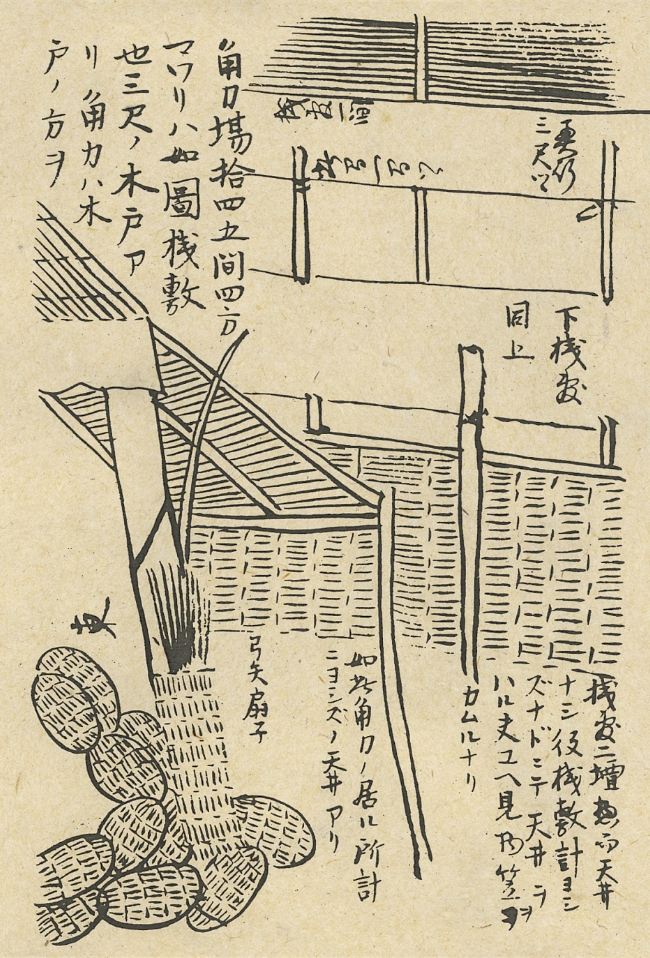 角力場